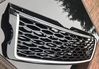 L405_grille_front2.jpeg